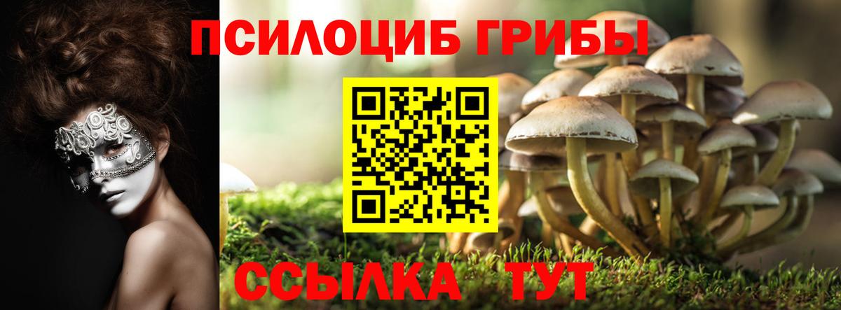 Галлюциногенные грибы GOLDEN TEACHER Боровичи