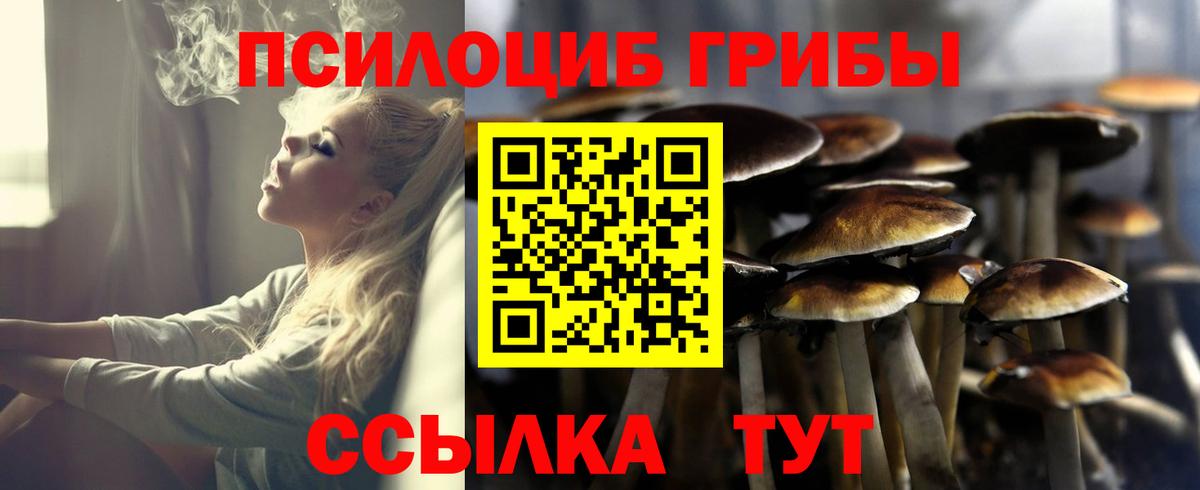 Псилоцибиновые грибы ЛСД  наркотики  Вход с VPN  Боровичи  Псилоцибиновые грибы GOLDEN TEACHER 